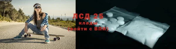 крисы Алексин