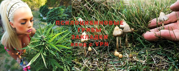 спиды Алексеевка
