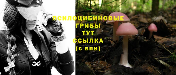 крисы Алексин