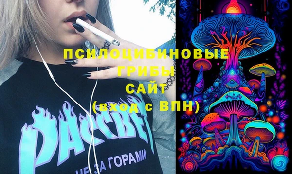 спиды Алексеевка