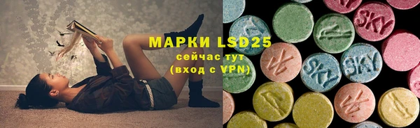 крисы Алексин