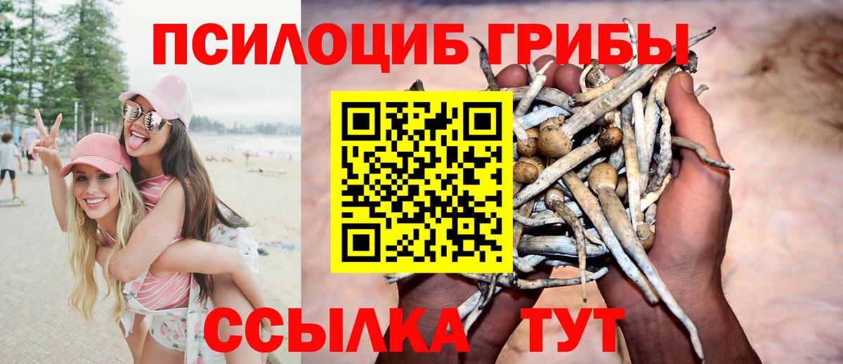 Псилоцибиновые грибы Cubensis  Вход с VPN  Усть-Лабинск 